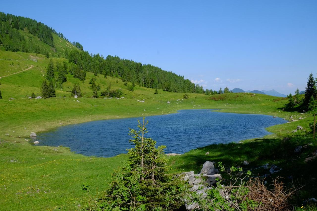 Casa Della Rosa Dolomites Experience 호텔 비고 디 카도레 외부 사진